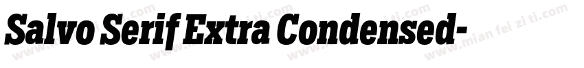 Salvo Serif Extra Condensed字体转换